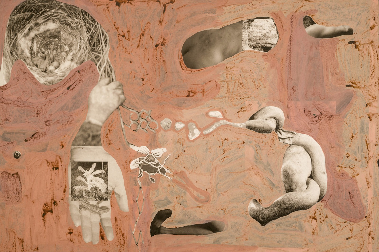 圖十二、《地勢 (關(guān)于時間，關(guān)于身體)》 (細節(jié)圖)，O?zlem Alt?n，2019